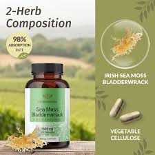 Bladderwrack Sea Moss